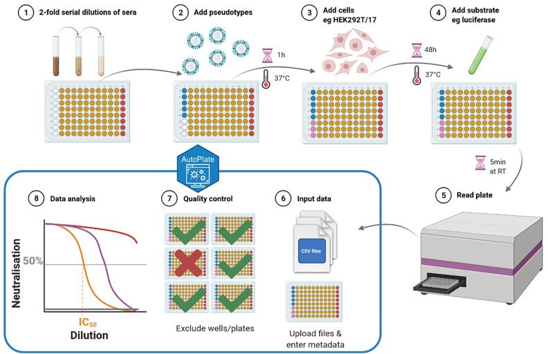 AutoPlate assay workflow